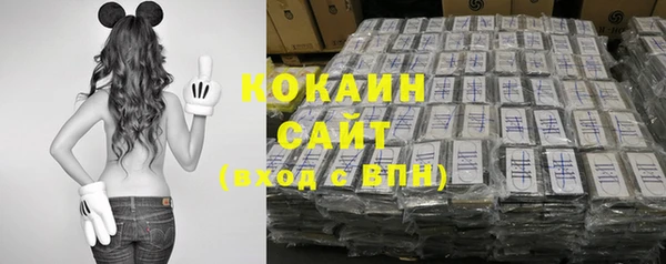 индика Заволжск