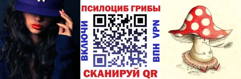 Купить  Гремячинск  Галлюциногенные грибы прущие грибы 